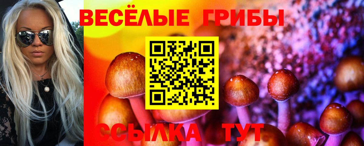 Галлюциногенные грибы GOLDEN TEACHER  Вход с VPN  Псилоцибиновые грибы GOLDEN TEACHER  Муравленко 